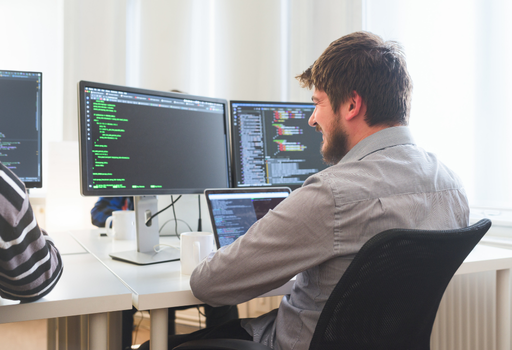 Developer
